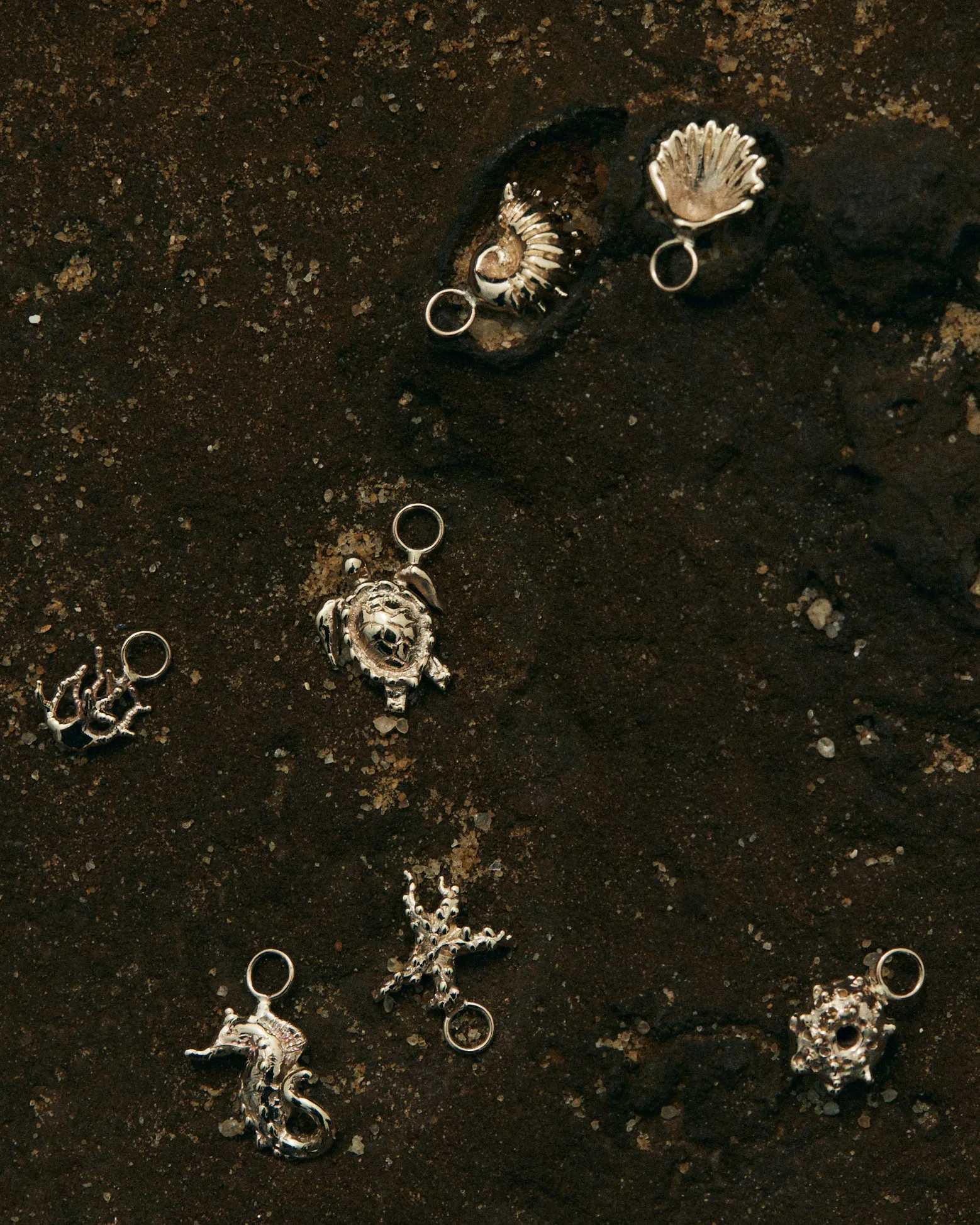 Atlantic Shell Earring | Gold