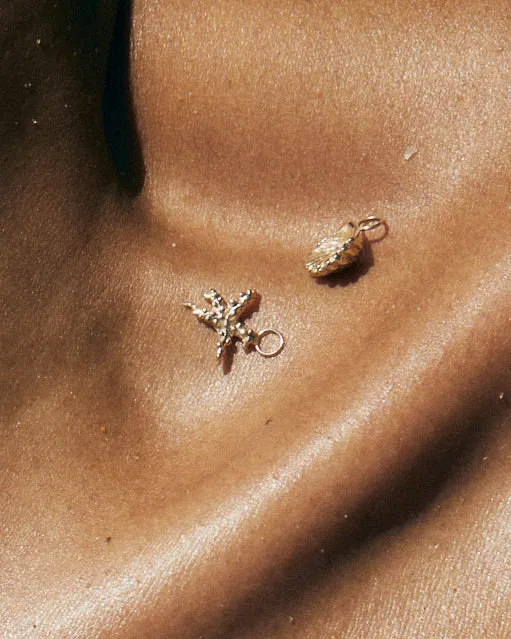 Atlantic Shell Earring | Gold