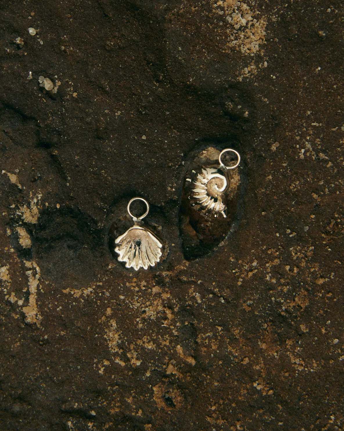 Atlantic Shell Earring | Gold