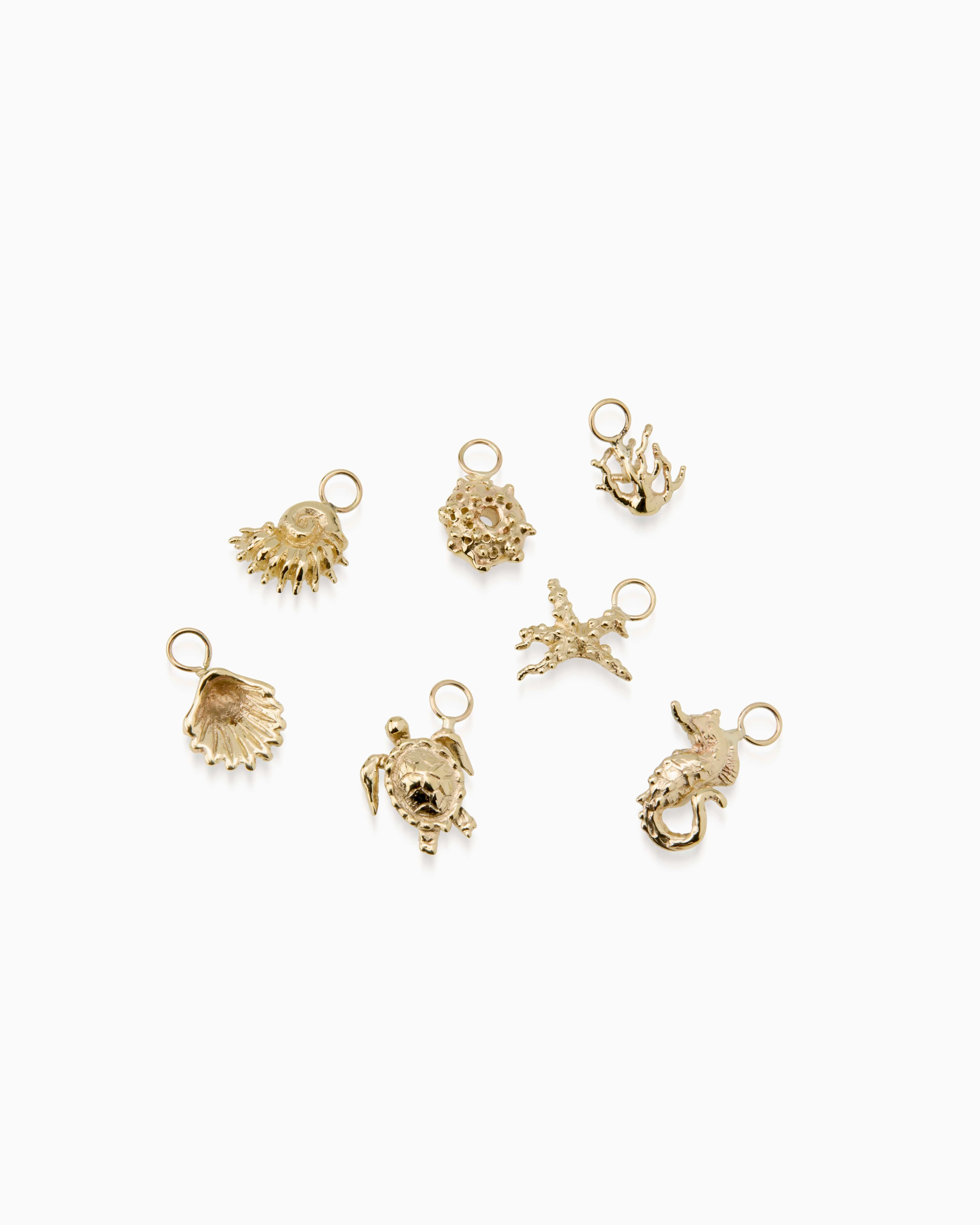 Atlantic Shell Earring | Gold