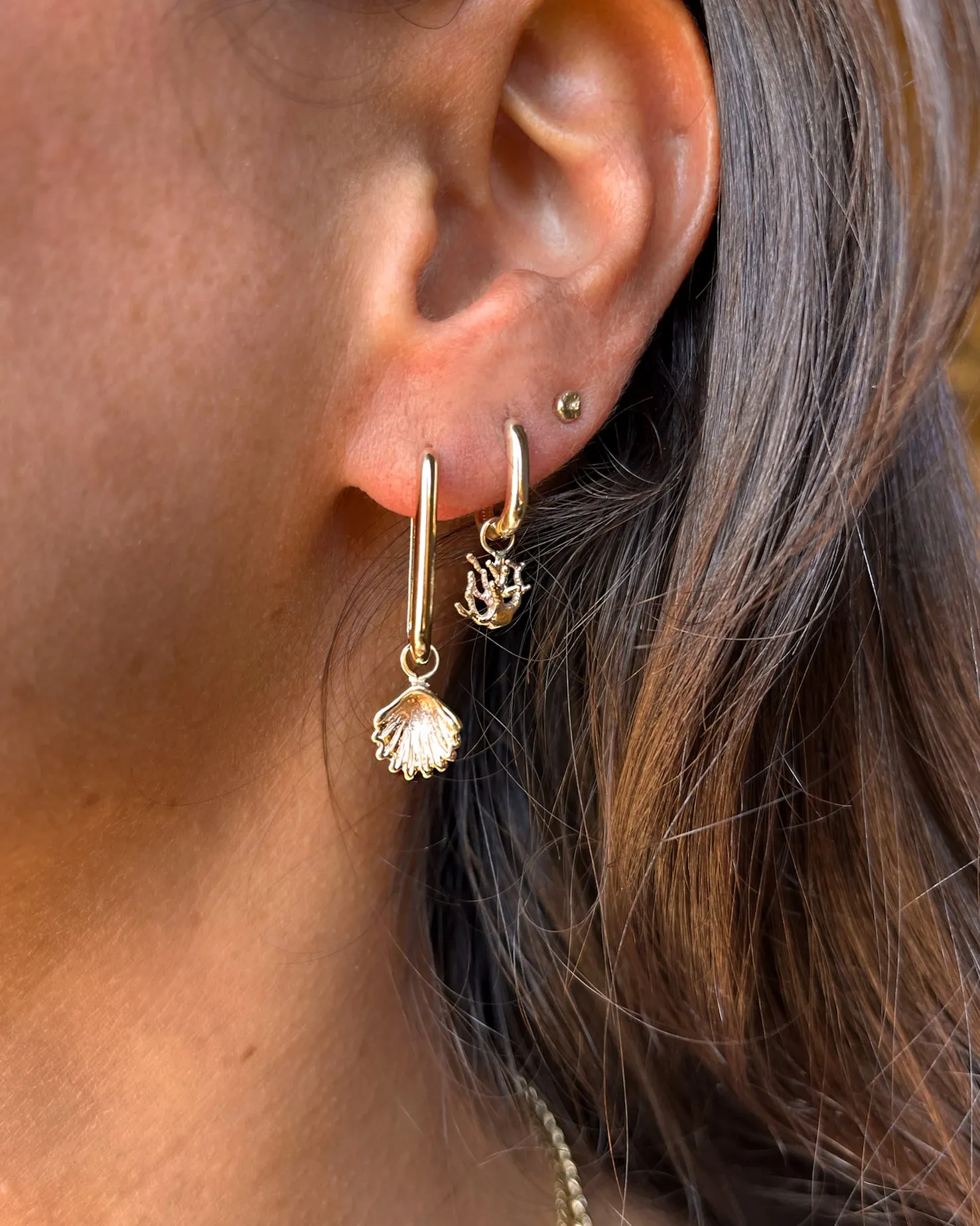 Atlantic Shell Earring | Gold