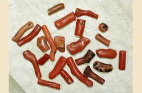 HUGE Set of Antique Branch Coral from Morocco